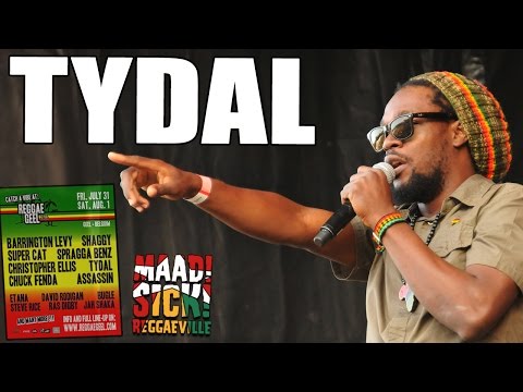 Tydal Kamau - Babylon Can't Get Away @ Reggae Geel 2015 [7/31/2015]