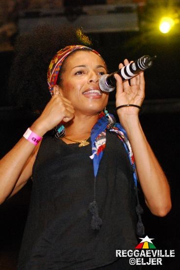 Various Artists @ 10th Anniversary Riddim Magazine