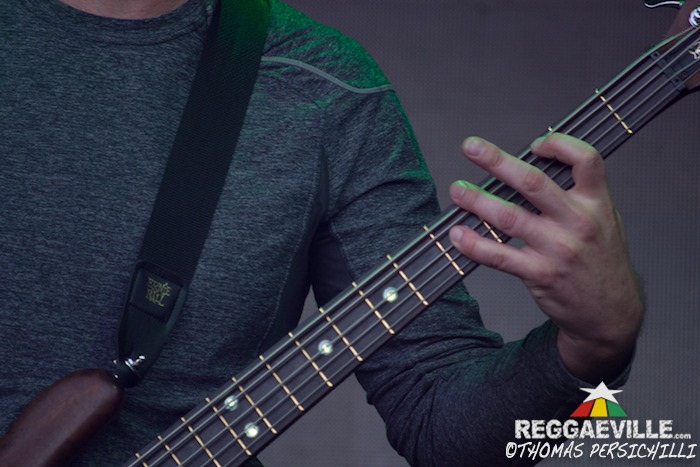 311 @ California Roots Festival 2014