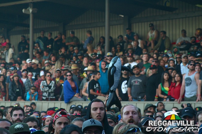 311 @ California Roots Festival 2014