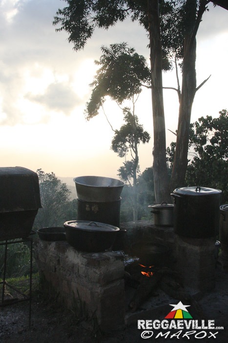 Impressions @ Blue Mountain Music Festival 2014