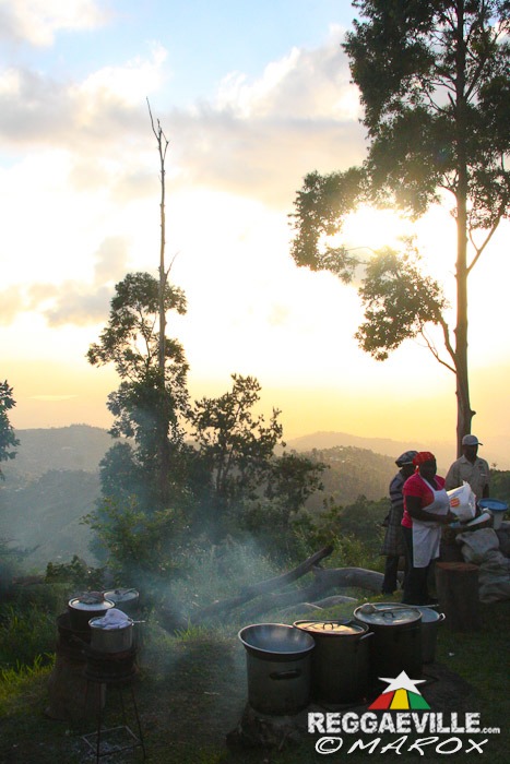 Impressions @ Blue Mountain Music Festival 2014