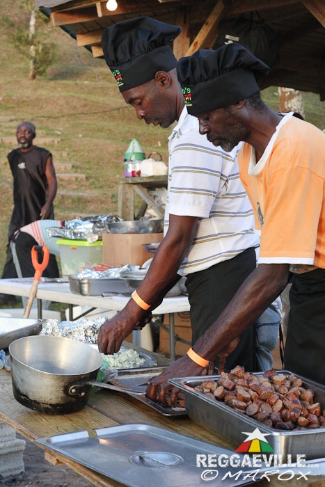 Impressions @ Blue Mountain Music Festival 2014