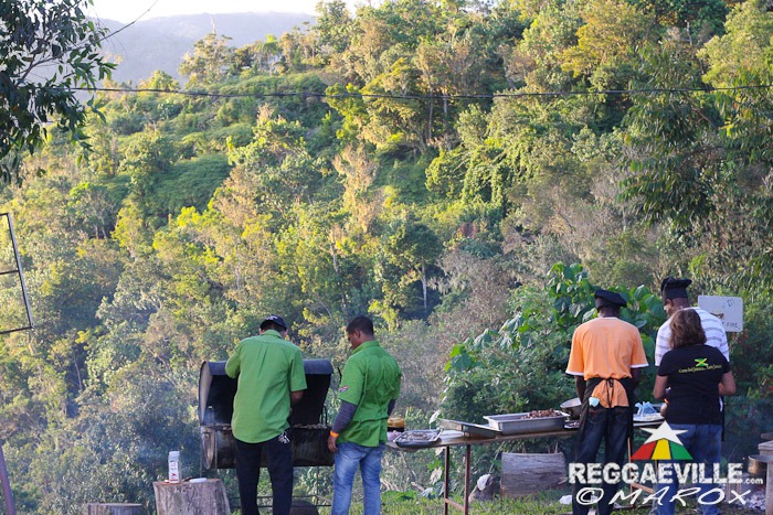 Impressions @ Blue Mountain Music Festival 2014