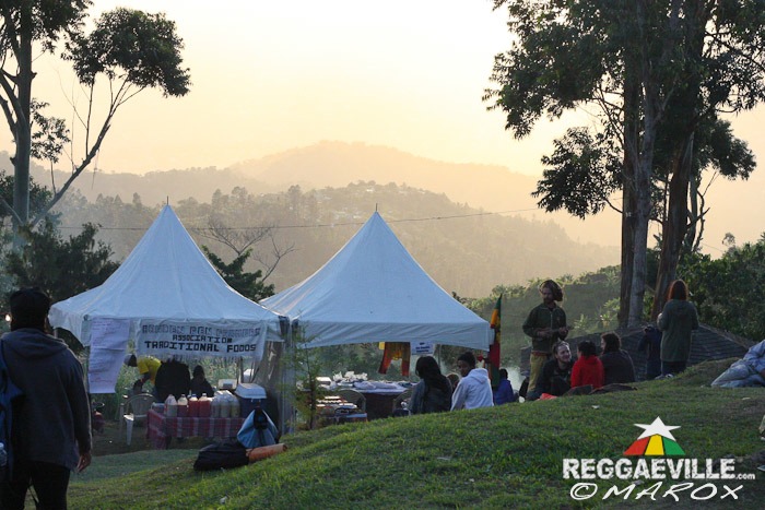 Impressions @ Blue Mountain Music Festival 2014