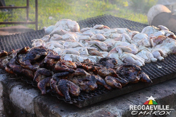 Impressions @ Blue Mountain Music Festival 2014