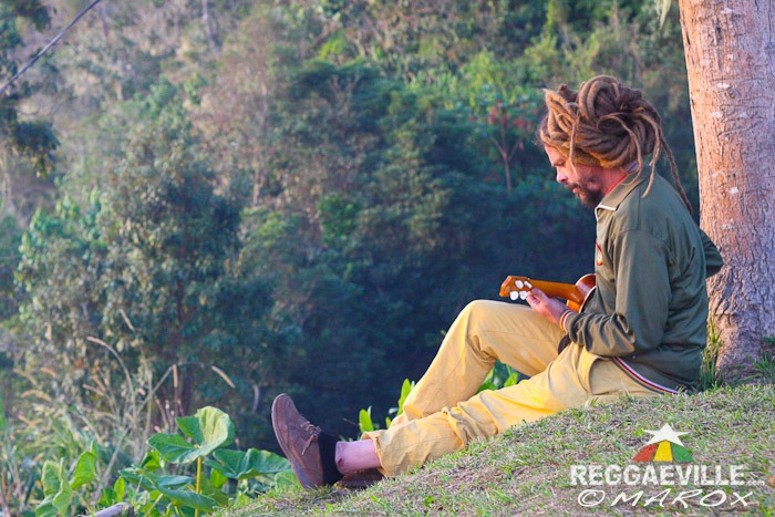 Impressions @ Blue Mountain Music Festival 2014