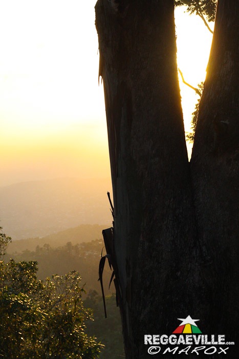 Impressions @ Blue Mountain Music Festival 2014