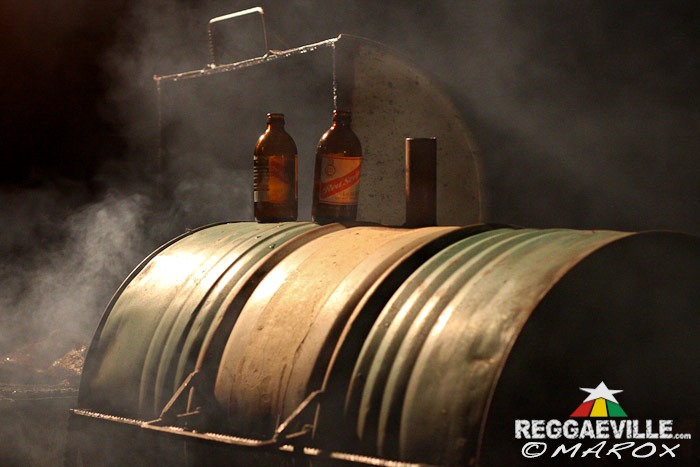 Impressions @ Blue Mountain Music Festival 2014