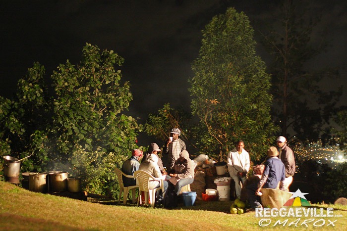 Impressions @ Blue Mountain Music Festival 2014