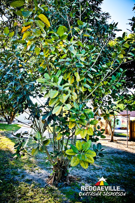 Inner Circle's Circle Village in Miami, FL