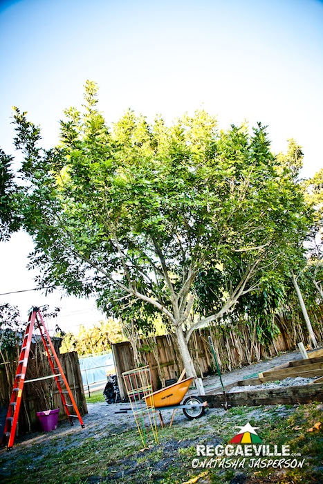 Inner Circle's Circle Village in Miami, FL