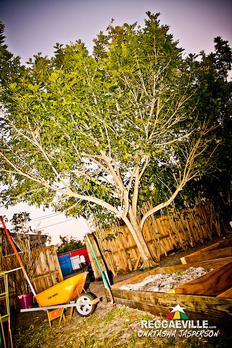 Inner Circle's Circle Village in Miami, FL