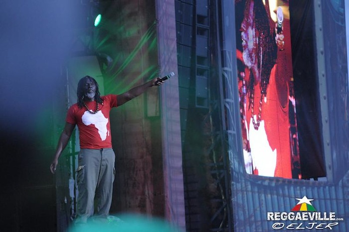 Impressions @ Couleur Cafe 2014