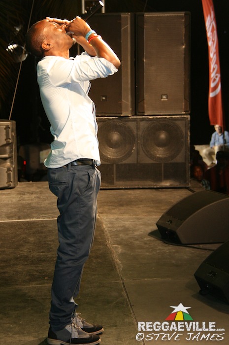 Various Artists @ Tribute To Dennis Brown 2014