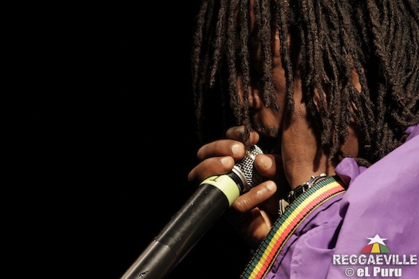 Droop Lion @ It's Growing