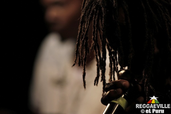 Droop Lion @ It's Growing