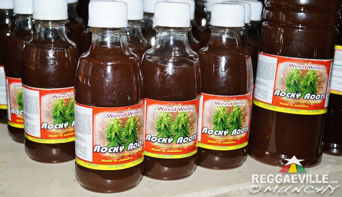 Impressions @  Stepping High Ganja Festival 2015