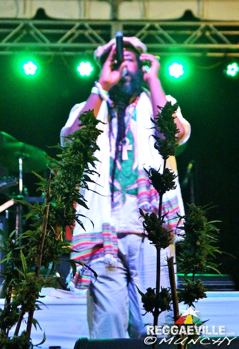 Impressions @  Stepping High Ganja Festival 2015