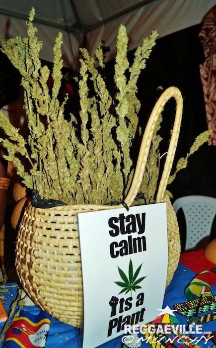 Impressions @  Stepping High Ganja Festival 2015