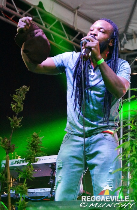Impressions @  Stepping High Ganja Festival 2015