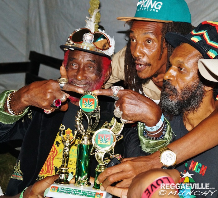 Impressions @  Stepping High Ganja Festival 2015