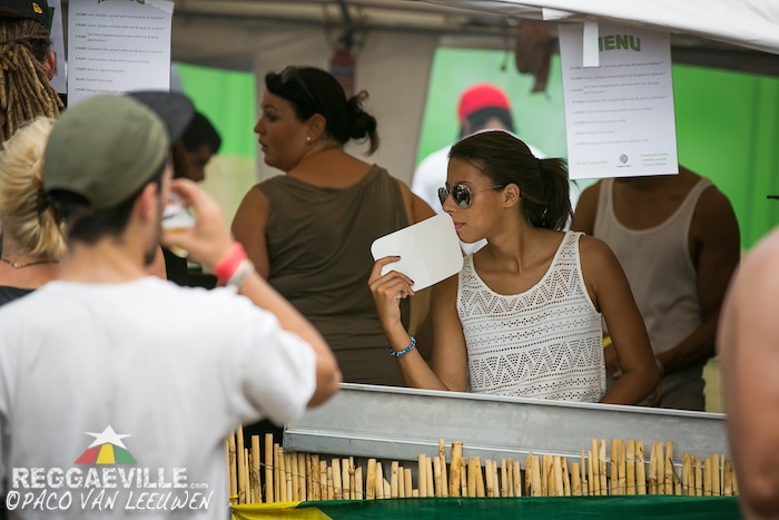 Impressions #2 @ Reggae Geel 2014