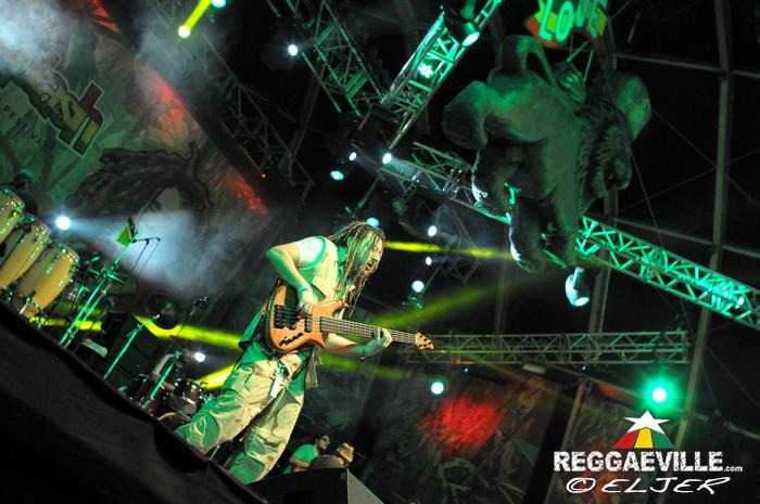 Gondwana @ Rototom Sunsplash 2013