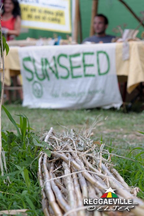 Impressions #2 @ Rototom Sunsplash 2014