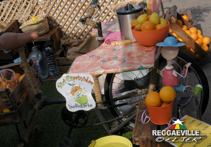 Impressions #3 @ Rototom Sunsplash 2014