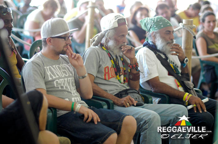 Impressions #3 @ Rototom Sunsplash 2014