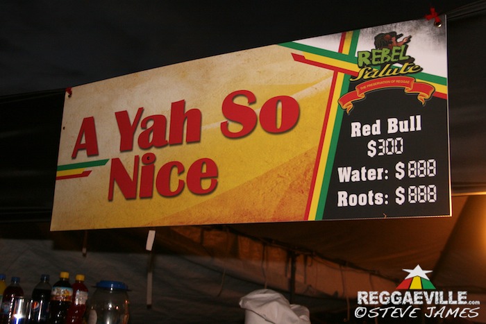 Impressions @ Rebel Salute 2014