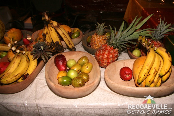 Impressions @ Rebel Salute 2014