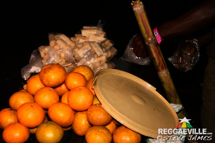 Impressions @ Rebel Salute 2014