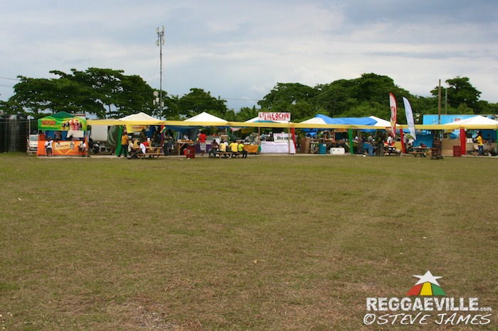 Impressions @ Rebel Salute 2014