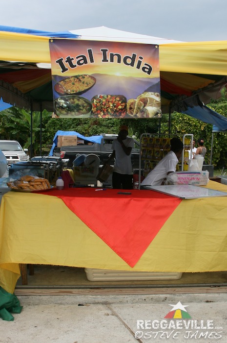 Impressions @ Rebel Salute 2014