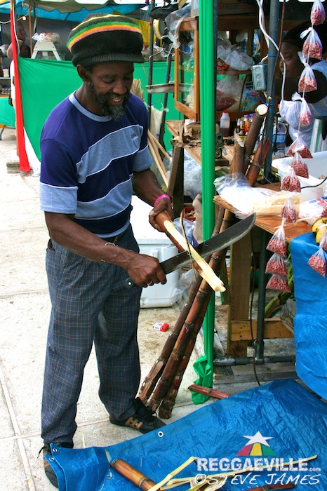 Impressions @ Rebel Salute 2014