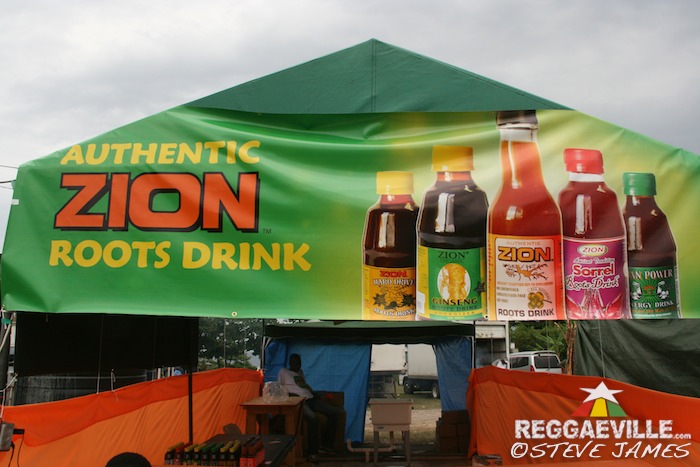 Impressions @ Rebel Salute 2014