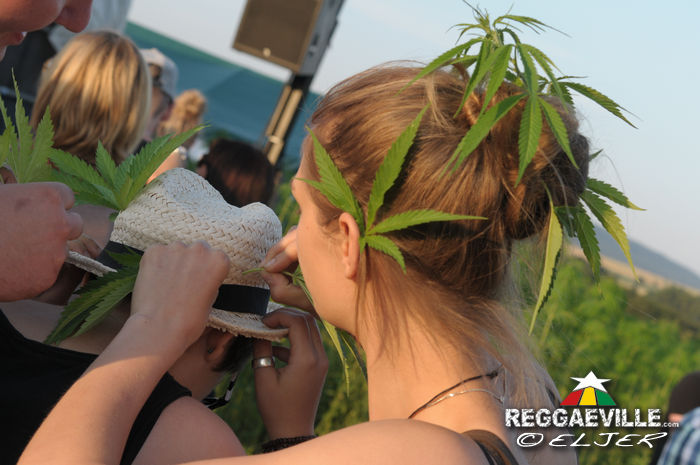 Impressions @ Reggae im Hanf-Feld 2015