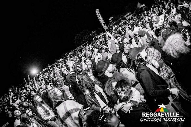 Damian, Stephen, Julian & Skip Marley @ 9Mile Music Festival 2016