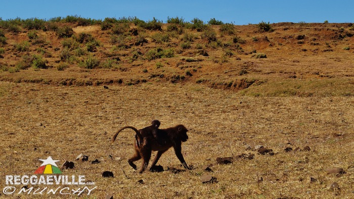 Munchy in Ethiopia - Day 8