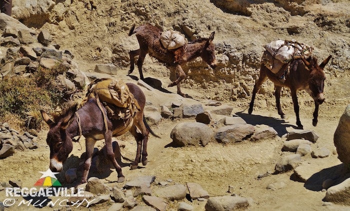 Munchy in Ethiopia - Day 8