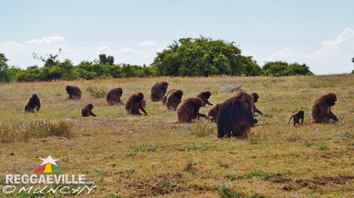 Munchy in Ethiopia - Day 8