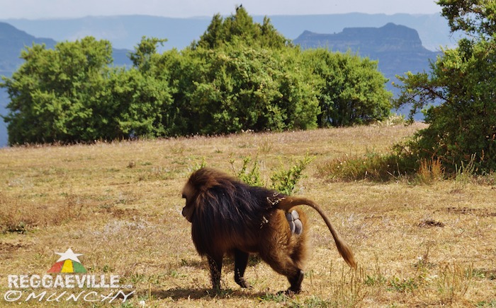 Munchy in Ethiopia - Day 8