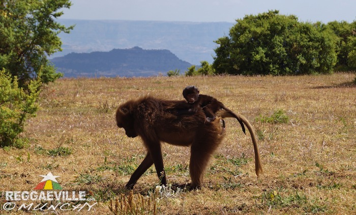 Munchy in Ethiopia - Day 8