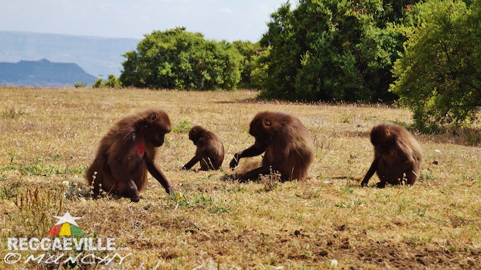 Munchy in Ethiopia - Day 8