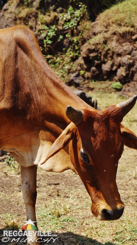 Munchy in Ethiopia - Day 5