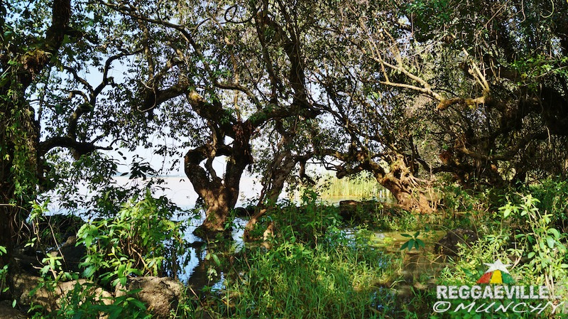 Munchy in Ethiopia - Day 4