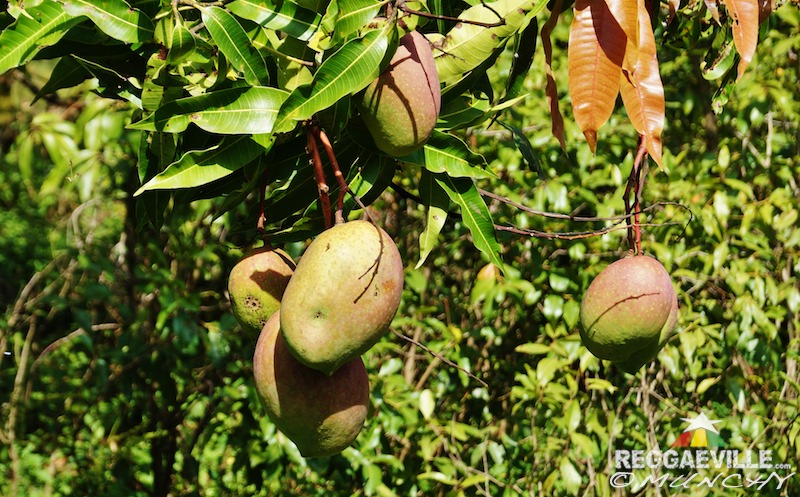 Munchy in Ethiopia - Day 4