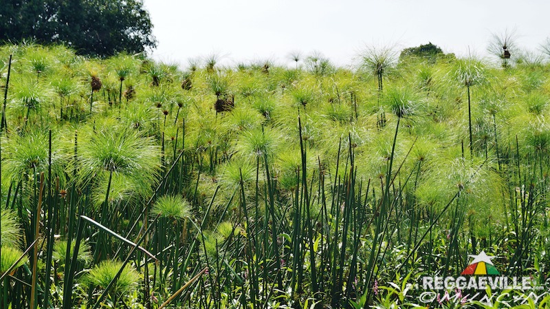 Munchy in Ethiopia - Day 4